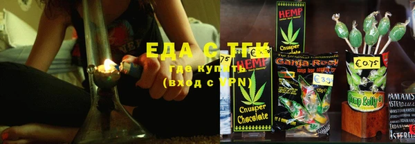 стаф Арсеньев