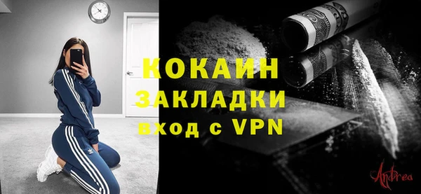 стаф Арсеньев