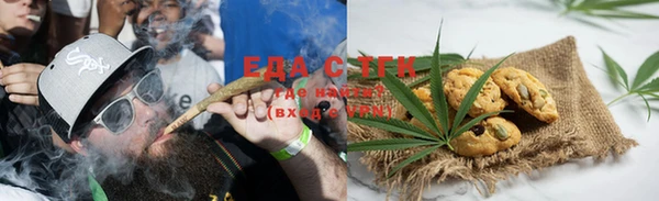 стаф Арсеньев