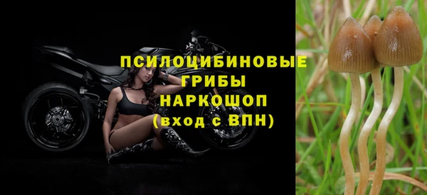 прущая мука Армянск