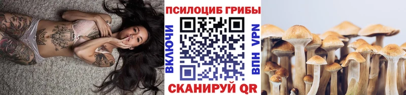 Псилоцибиновые грибы MAGIC MUSHROOMS Моздок